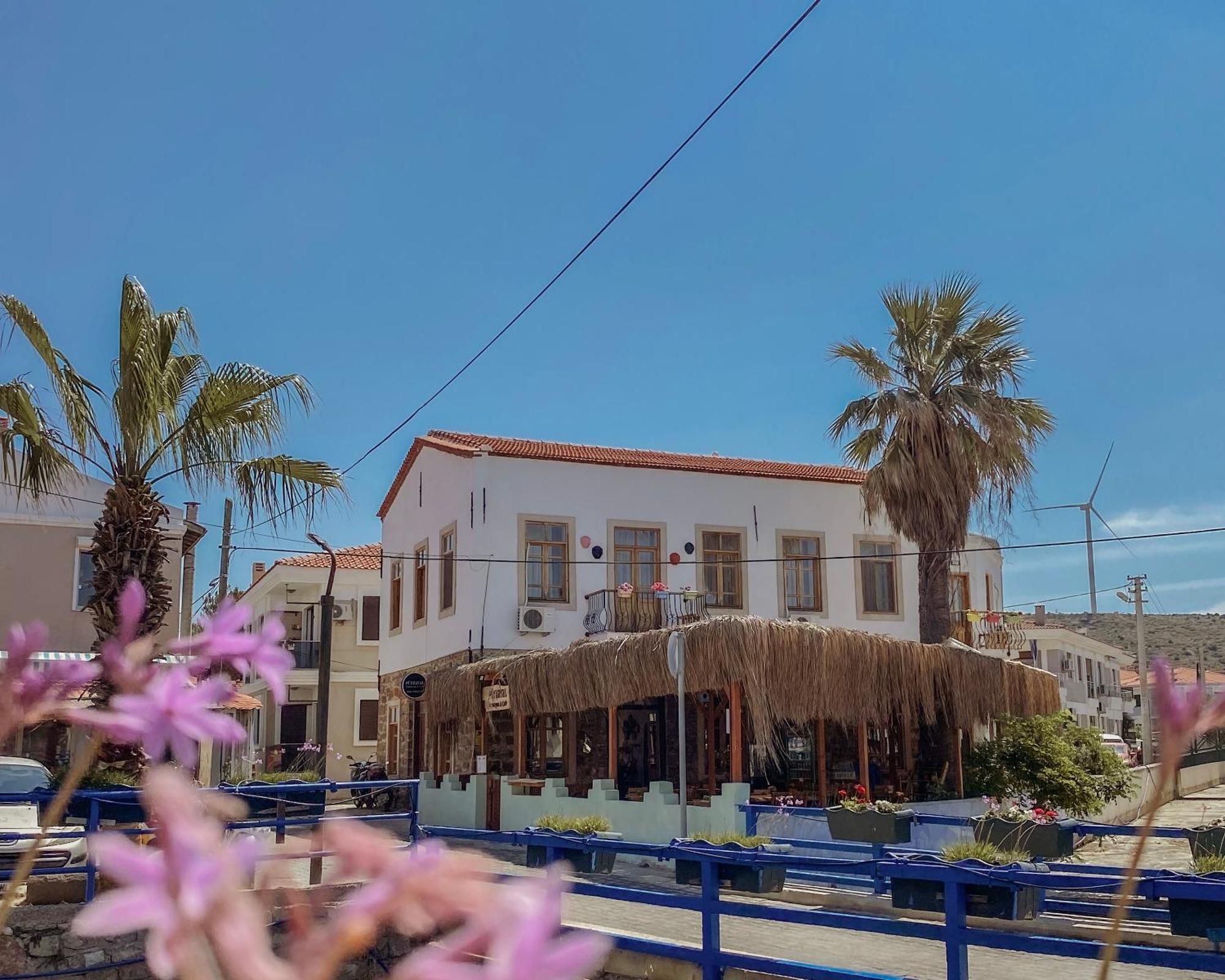 Cesme Puerhayal Pansiyon エクステリア 写真